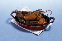 Coffre de homard canadien entier cru (tête) MSC