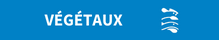 Terre &Mer | Végétaux
