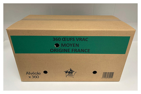 Oeuf moyen alvéolé