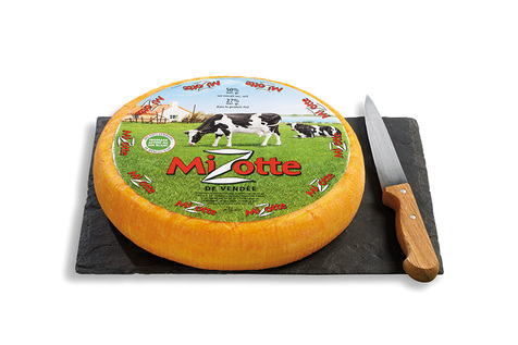 Mizotte de Vendée