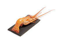 Langouste entière cuite Langouste entière cuite