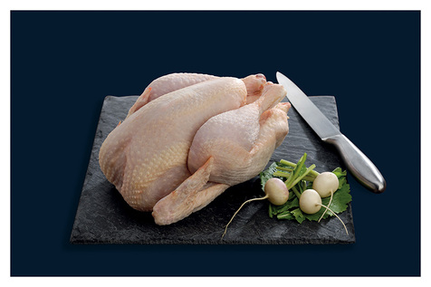 Poulet blanc classe A VF