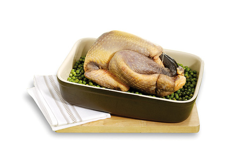 Pintade