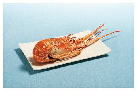 Langouste entière cuite