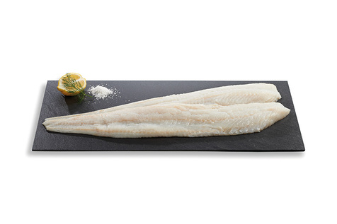 Filet de loup de mer