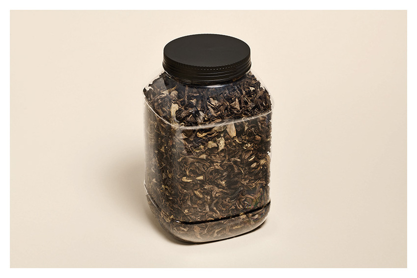 Trompette des morts séchée