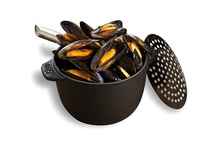 Moule entière MSC