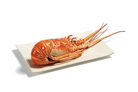 Langouste blanche entière cuite