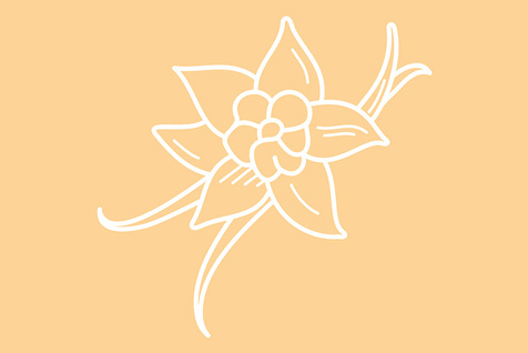 Crème glacée vanille Bourbon
