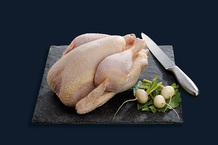 Poulet blanc fermier Label Rouge