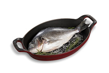 Dorade royale entière