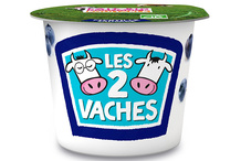 Yaourt saveur myrtille BIO