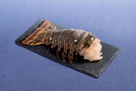 Queue de langouste crue 16/20 oz