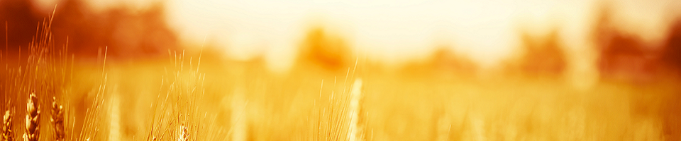 banniere-qui-sommes-nous