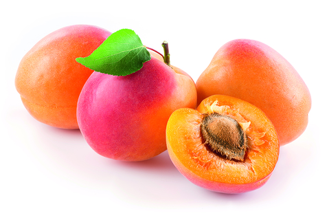 Sorbet abricot de France