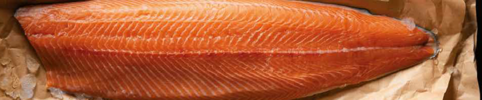 La marée - poissons frais Brake La Marée