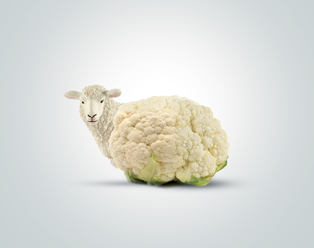 egalim-les-produits-vegetariens