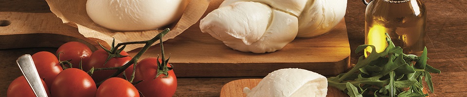 banniere fromages italiens
