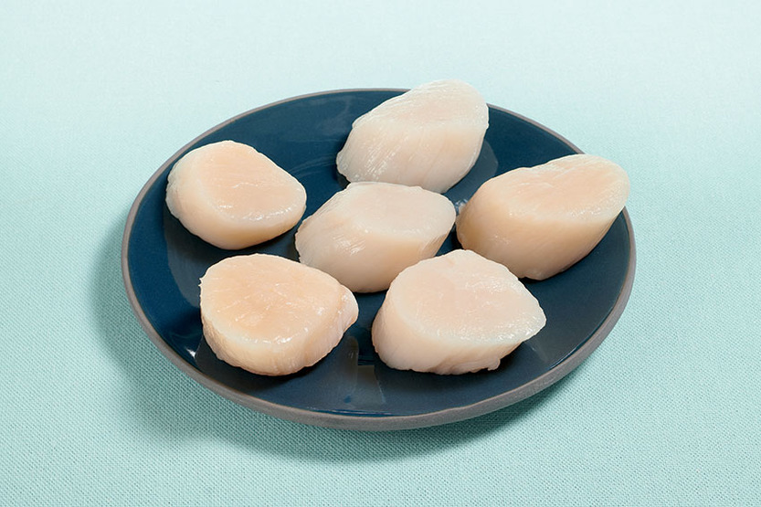 Noix de Saint-Jacques sauvage sans corail MSC