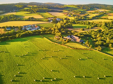 Les filières de nos régions 