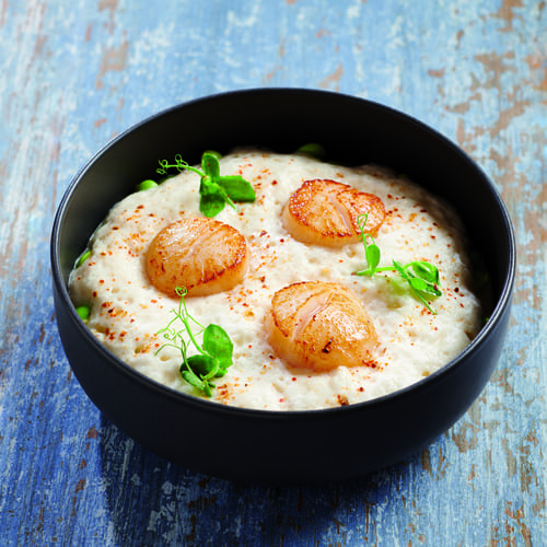 Saint jacques Royale et ecume de champignon de paris