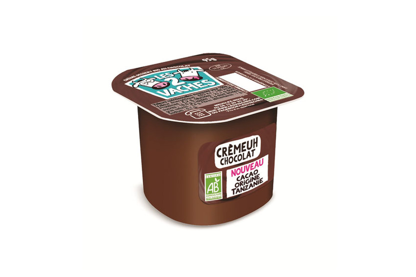 Crème dessert au chocolat BIO